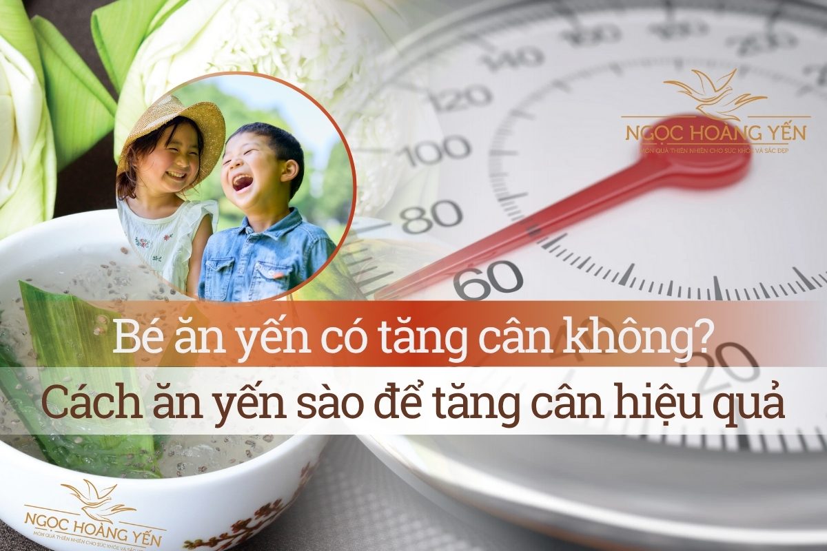Bé ăn yến có tăng cân không? Cách ăn yến sào để tăng cân hiệu quả