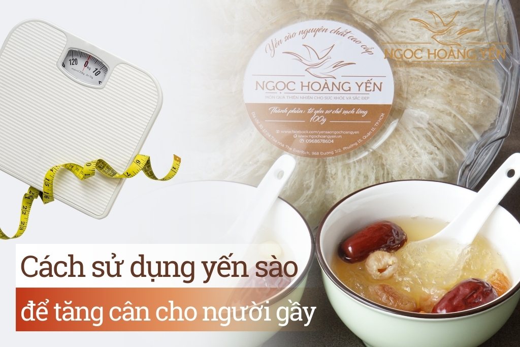 Cách sử dụng yến sào để tăng cân cho người gầy