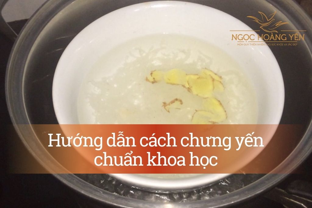 Hướng dẫn cách chưng yến chuẩn khoa học