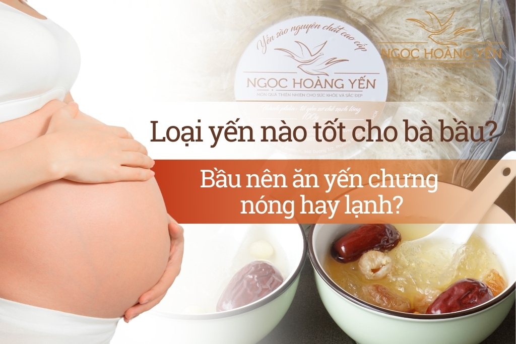 Loại yến nào tốt cho bà bầu? Bầu nên ăn yến chưng nóng hay lạnh?