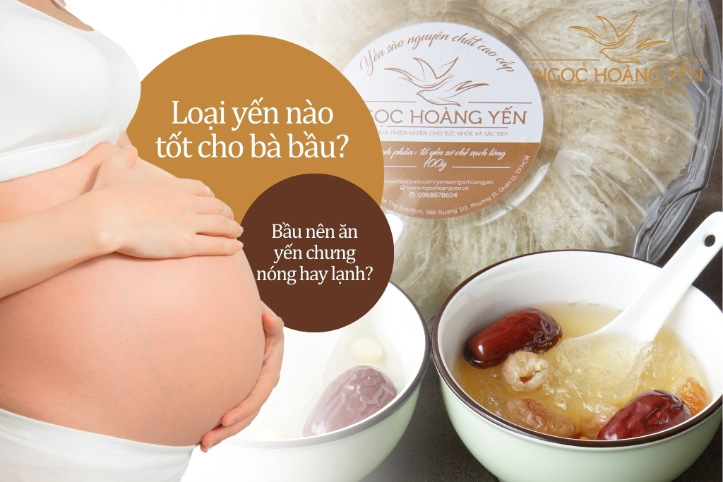 Loại yến nào tốt cho bà bầu? Bầu nên ăn yến chưng nóng hay lạnh?