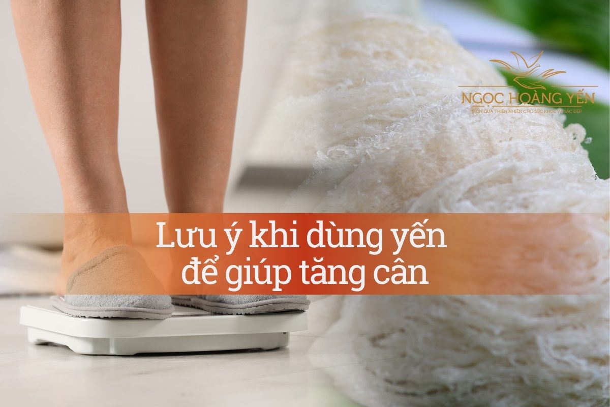 Lưu ý khi dùng yến để giúp tăng cân