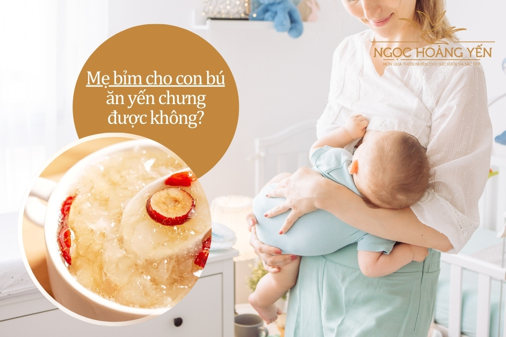 Mẹ bỉm cho con bú ăn yến chưng được không