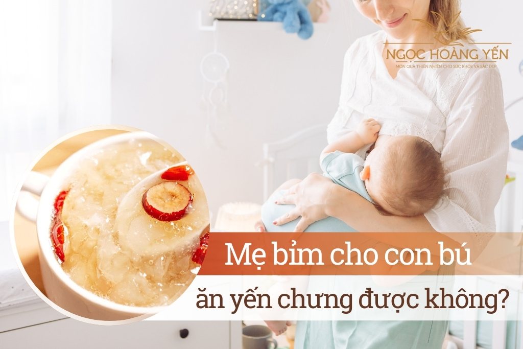 Mẹ bỉm cho con bú ăn yến chưng được không?