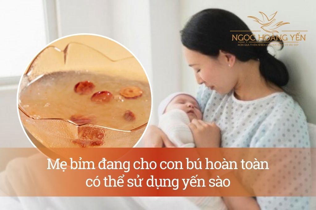 Mẹ bỉm đang cho con bú hoàn toàn có thể sử dụng yến sào