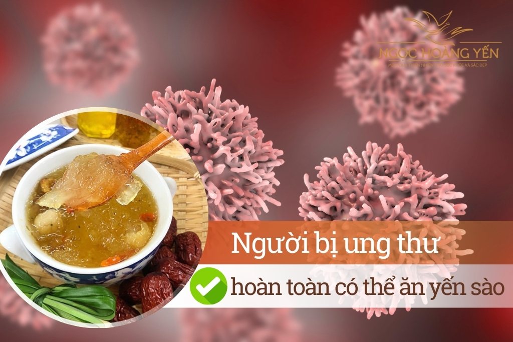 Người bị ung thư hoàn toàn có thể ăn yến sào