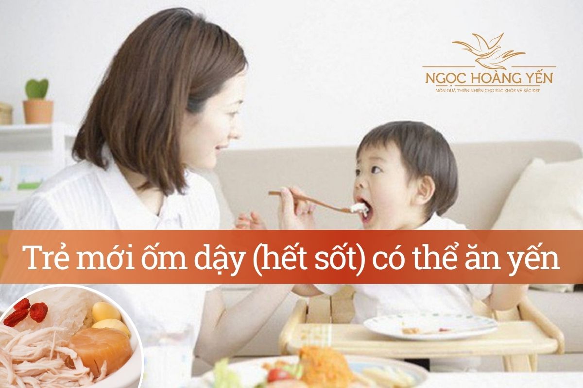 Trẻ mới ốm dậy (hết sốt) có thể ăn yến