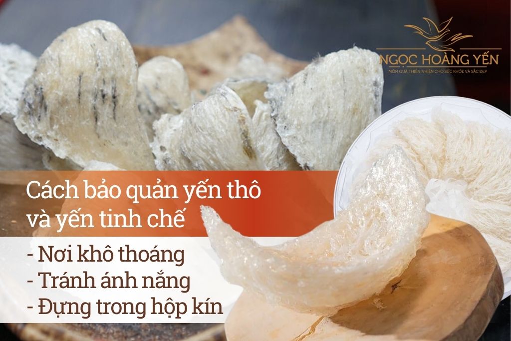 Cách bảo quản yến thô và yến tinh chế