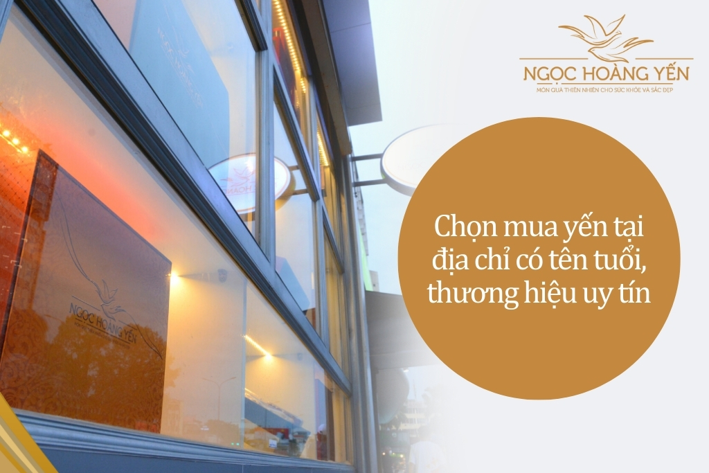 Chọn mua yến tại địa chỉ có tên tuổi, thương hiệu uy tín