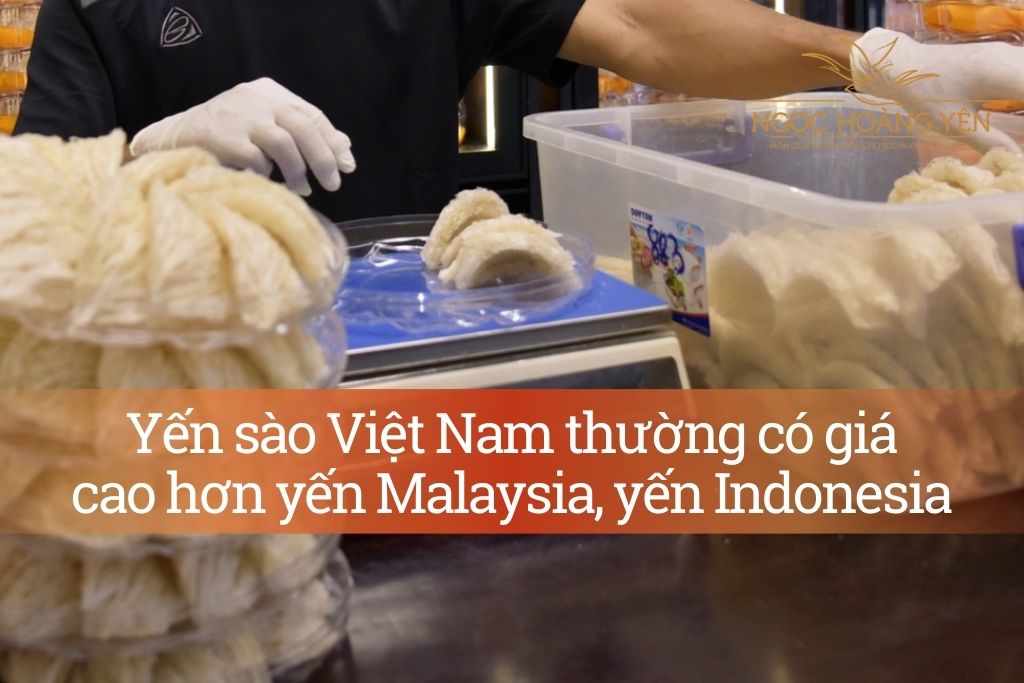 Giá yến sào Việt Nam thường cao hơn yến Malaysia, Indonesia