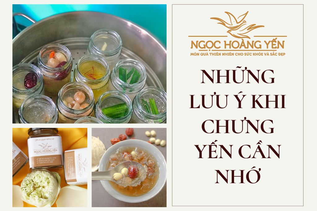 Những lưu ý khi chưng yến cần nhớ