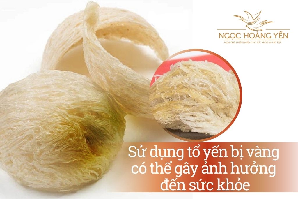 Sử dụng tổ yến bị vàng có thể gây ảnh hưởng đến sức khỏe