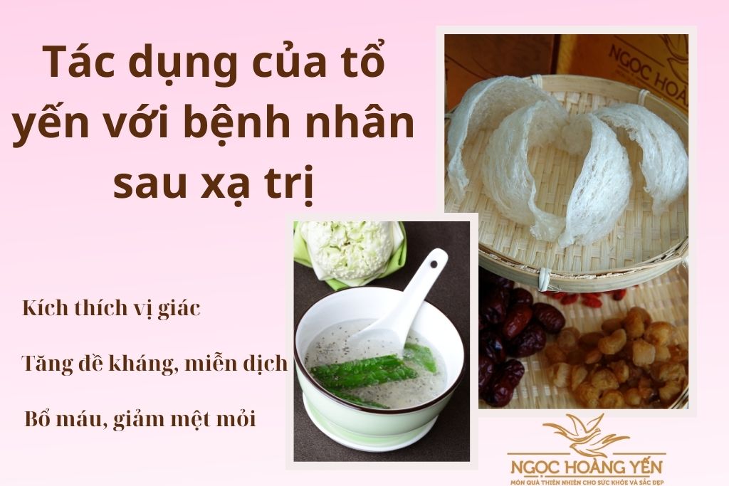 Tác dụng của tổ yến với bệnh nhân sau xạ trị