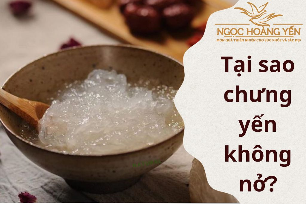 Tại sao chưng yến không nở?