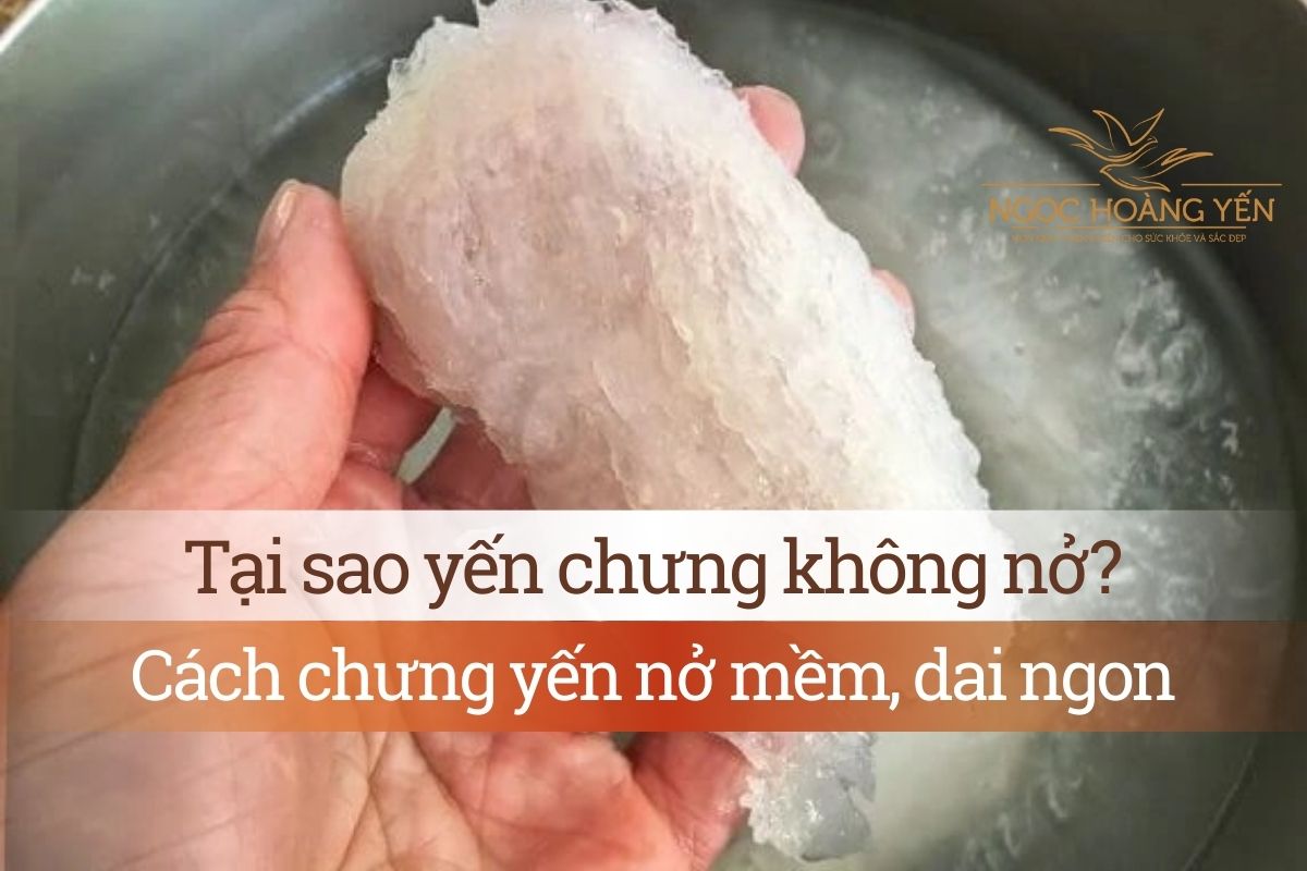 Tại sao yến chưng không nở? Cách chưng yến nở mềm, dai ngon