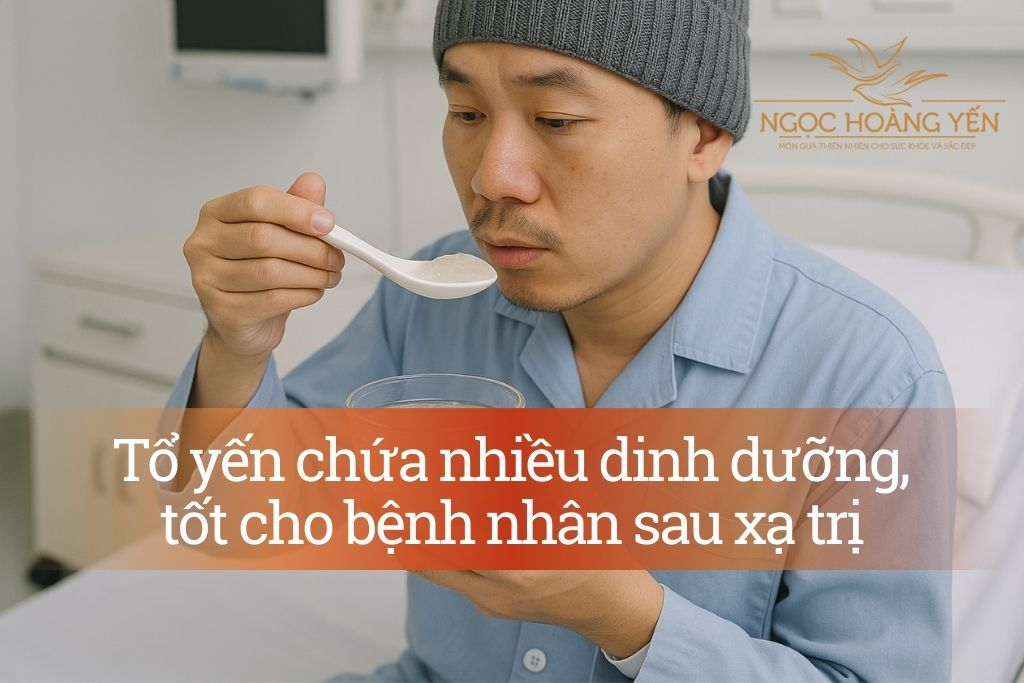 Tổ yến chứa nhiều dinh dưỡng, tốt cho bệnh nhân sau xạ trị