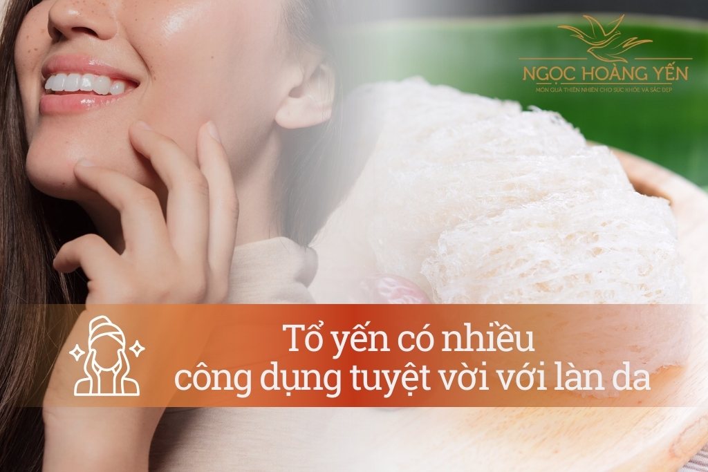 Tổ yến có nhiều công dụng tuyệt vời với làn da