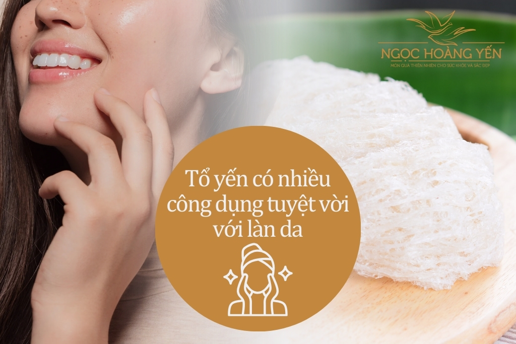 Tổ yến có nhiều công dụng tuyệt vời với làn da