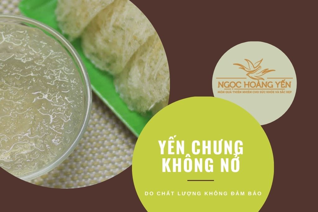 Yến chưng không nở do chất lượng không đảm bảo