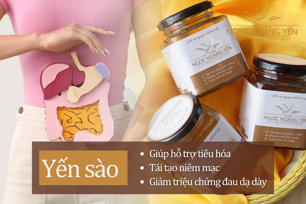 Yến sào giúp hỗ trợ tiêu hóa, tái tạo niêm mạc, giảm triệu chứng đau dạ dày