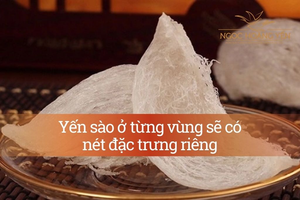 Yến sào từng vùng sẽ có nét đặc trưng riêng