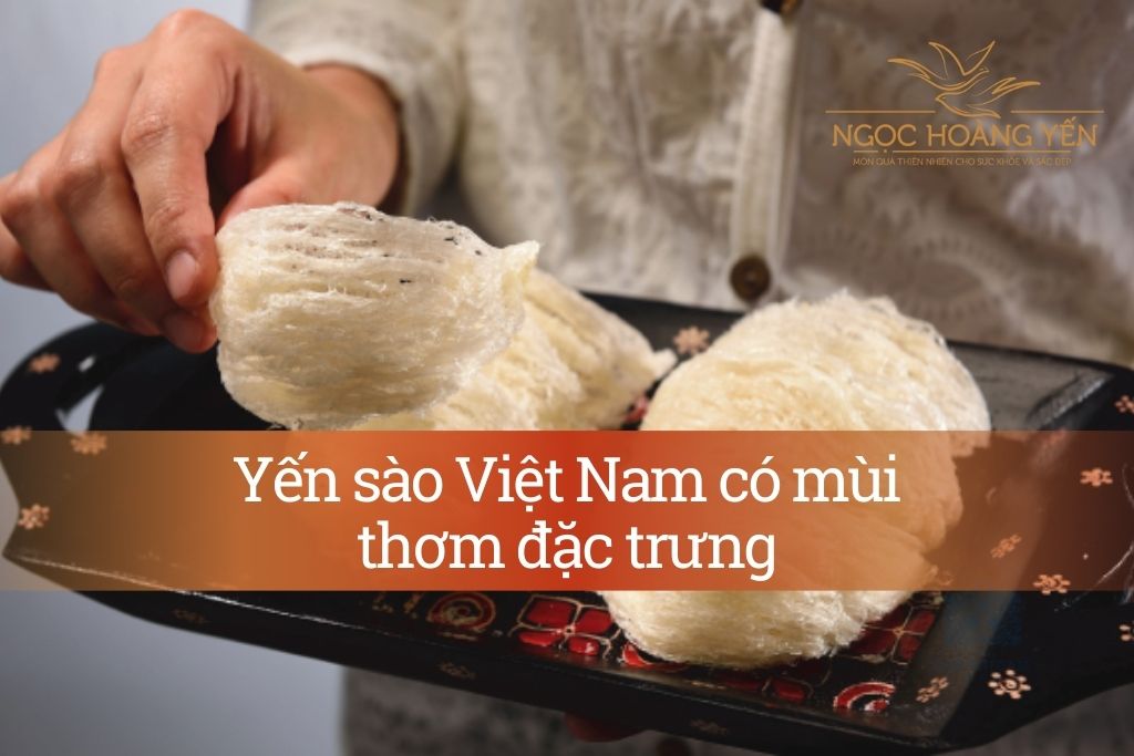 Yến sào Việt Nam có mùi thơm đặc trưng