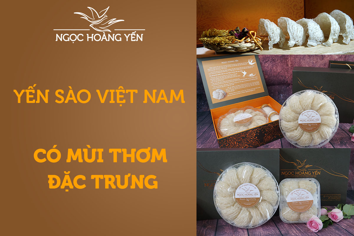 Yến sào Việt Nam có mùi thơm đặc trưng