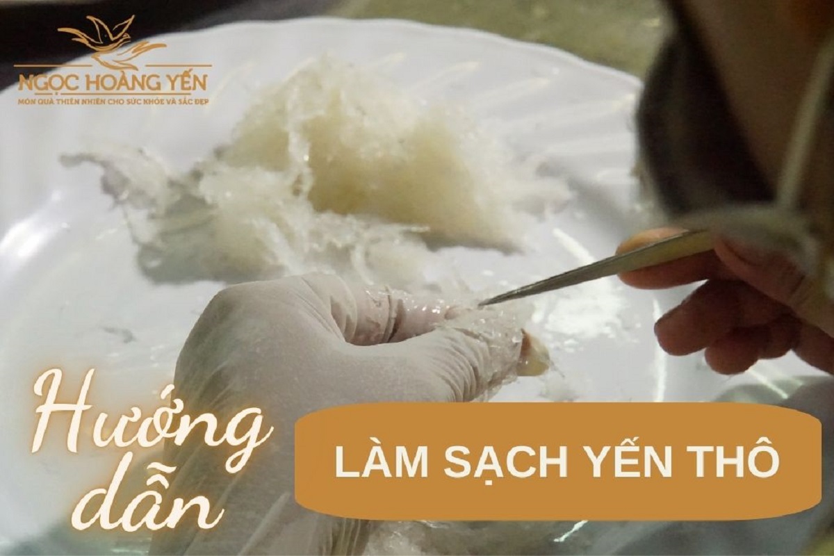 Hướng dẫn cách làm sạch yến thô