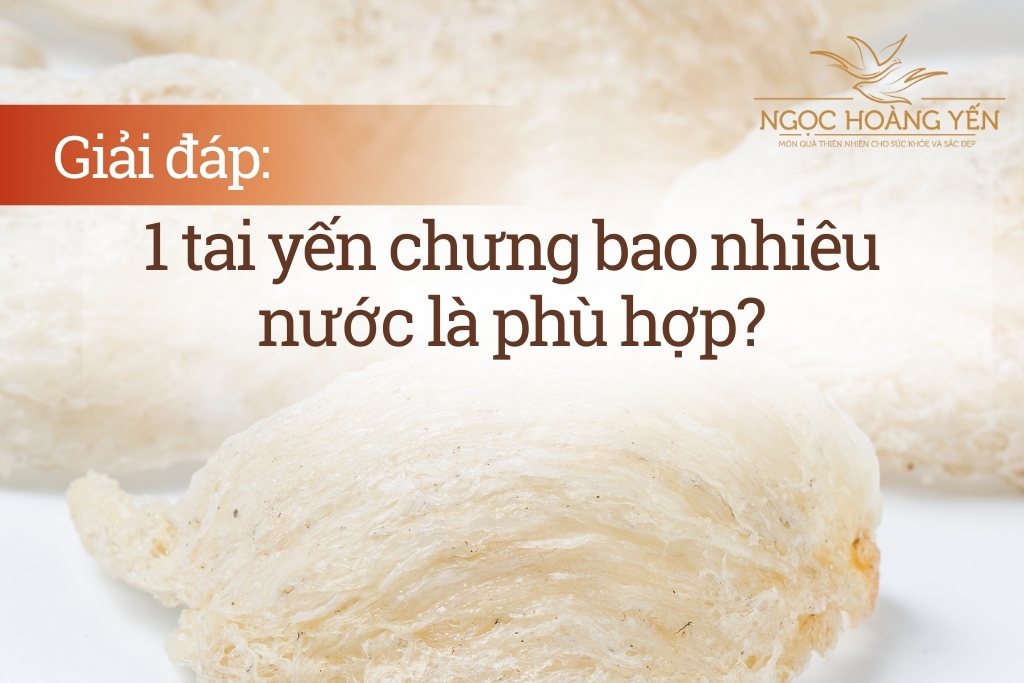 Giải đáp: 1 tai yến chưng bao nhiêu nước là phù hợp?