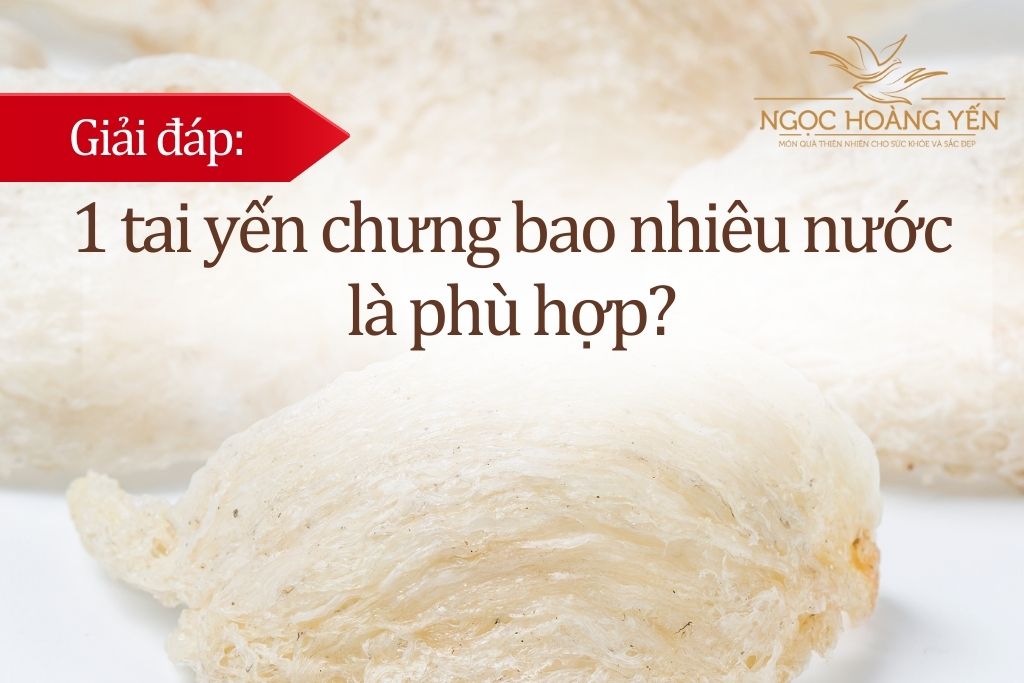 Giải đáp: 1 tai yến chưng bao nhiêu nước là phù hợp?