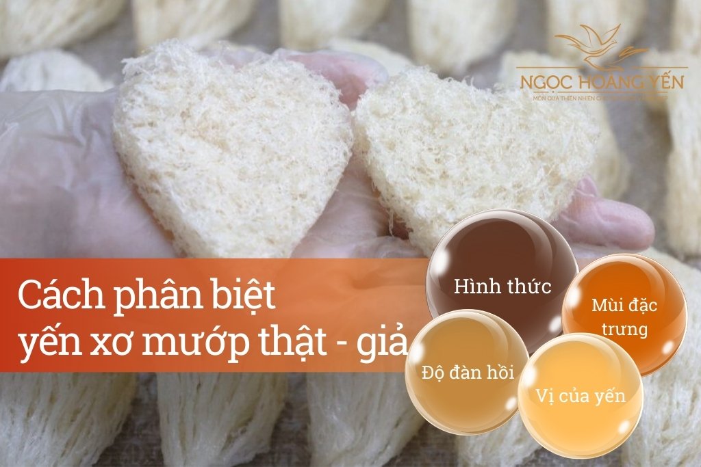 Cách phân biệt yến xơ mướp thật - giả