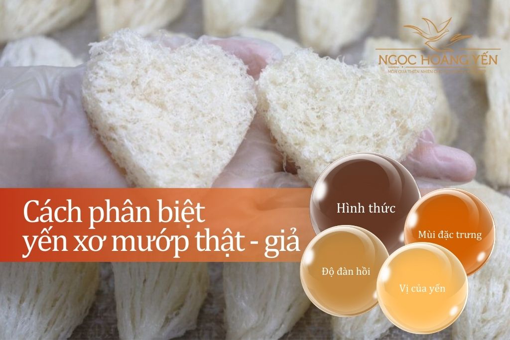 Cách phân biệt yến xơ mướp thật - giả