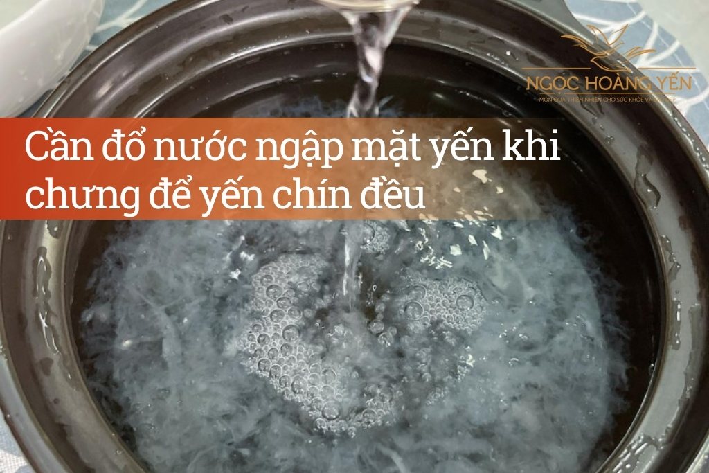 Cần đổ nước ngập mặt yến khi chưng để yến chín đều