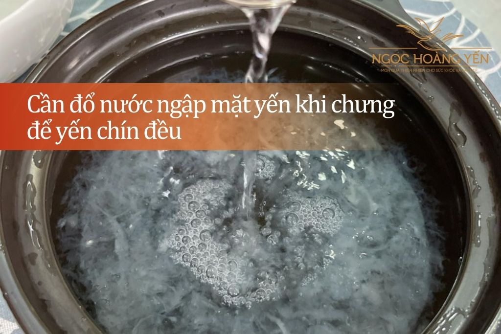 Cần đổ nước ngập mặt yến khi chưng để yến chín đều