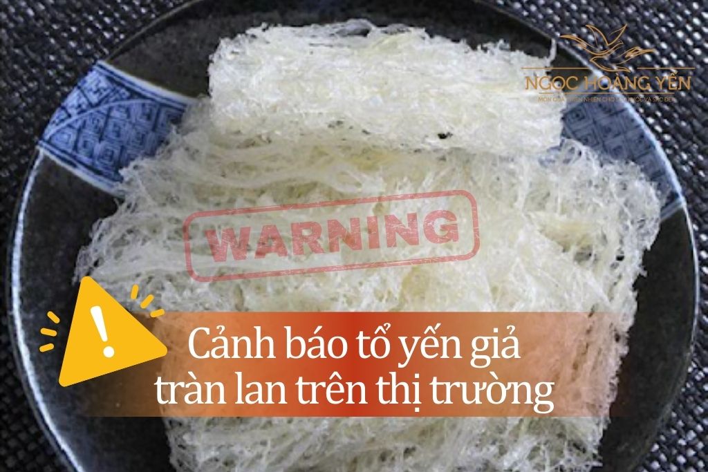 Cảnh báo tổ yến giả tràn lan trên thị trường