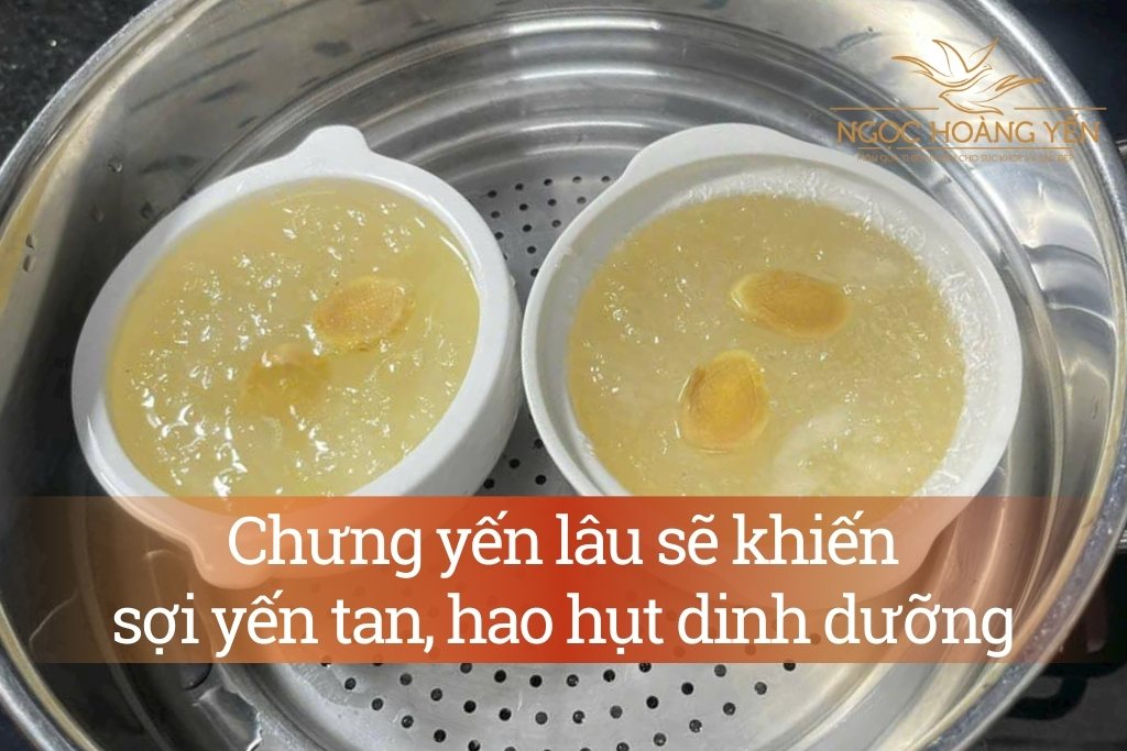 Chưng yến lâu sẽ khiến sợi yến tan, hao hụt dinh dưỡng