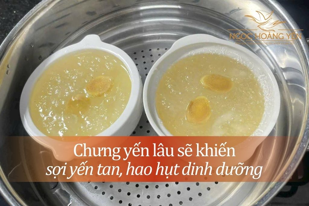 Chưng yến lâu sẽ khiến sợi yến tan, hao hụt dinh dưỡng