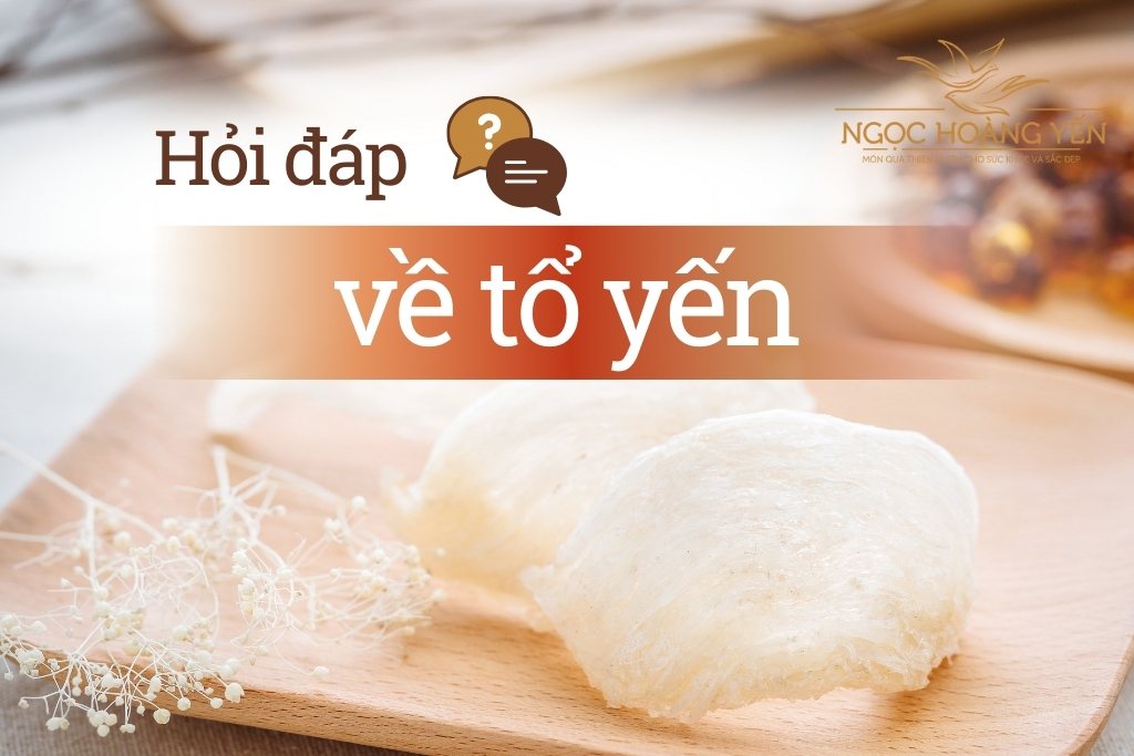 Hỏi đáp về tổ yến