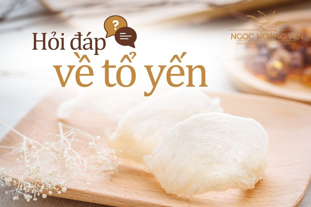 Hỏi đáp về tổ yến