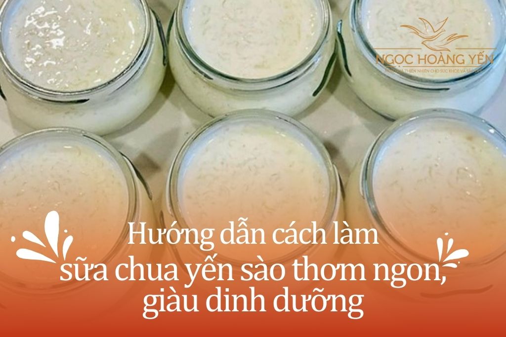 Hướng dẫn cách làm sữa chua yến sào thơm ngon, giàu dinh dưỡng