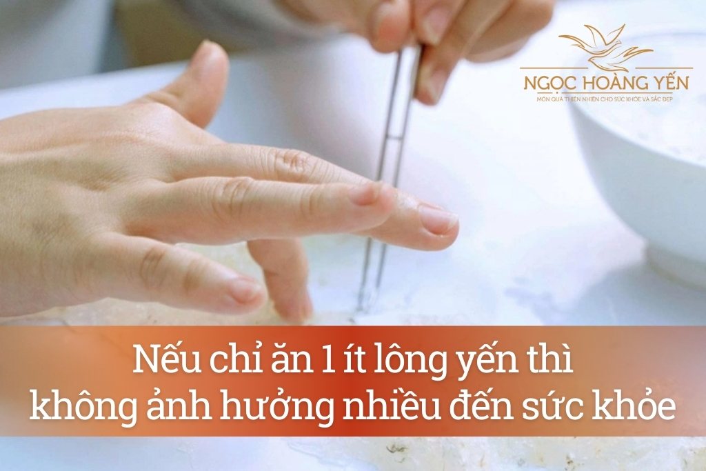 Nếu chỉ ăn 1 ít lông yến thì không ảnh hưởng nhiều đến sức khỏe