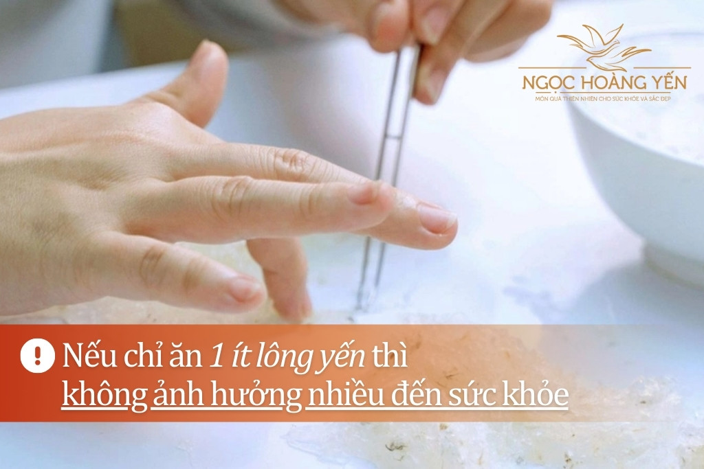 Nếu chỉ ăn 1 ít lông yến thì không ảnh hưởng nhiều đến sức khỏe