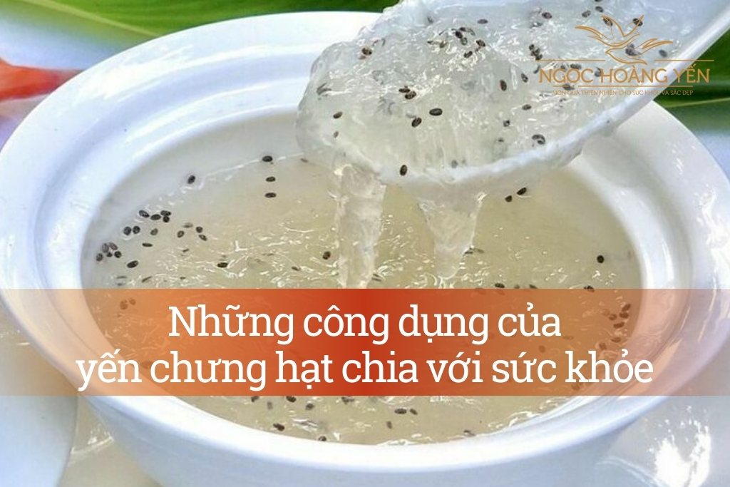 Những công dụng của yến chưng hạt chia với sức khỏe