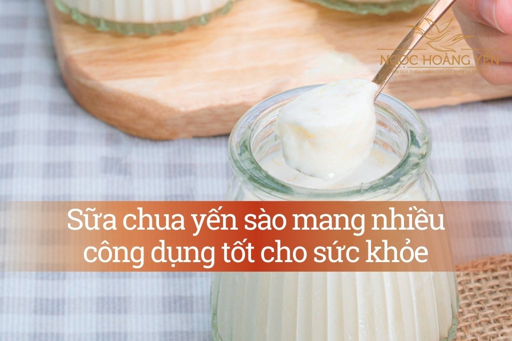 Sữa chua yến sào mang nhiều công dụng tốt cho sức khỏe