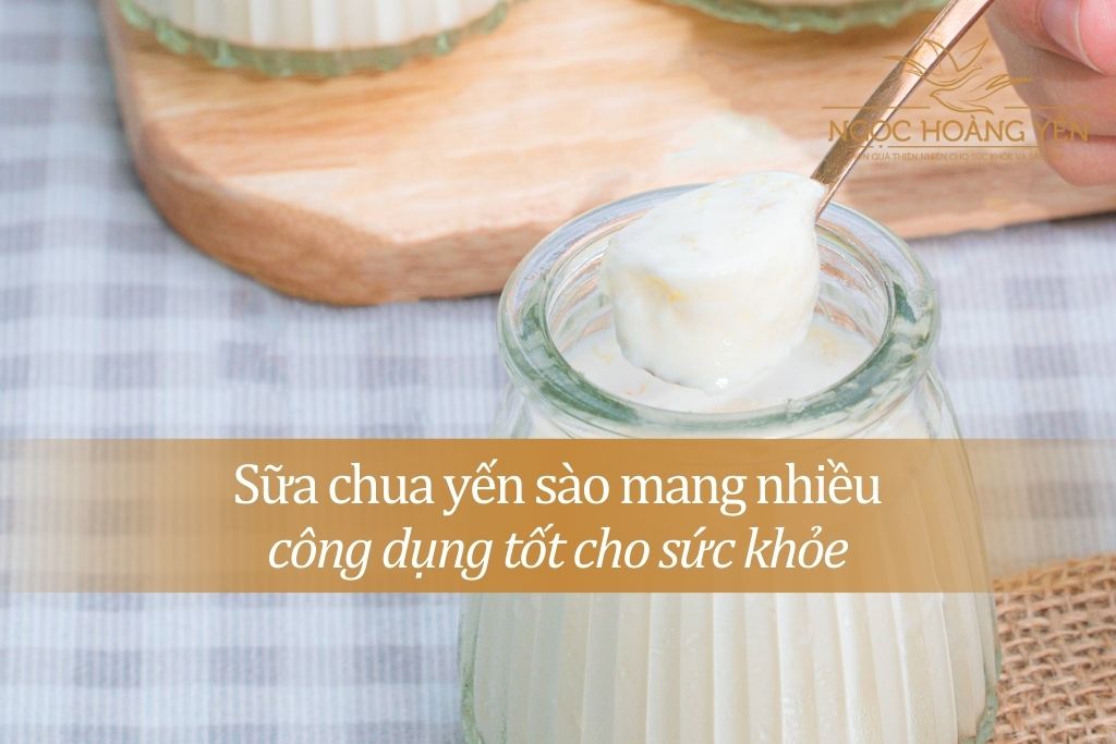 Sữa chua yến sào mang nhiều công dụng tốt cho sức khỏe