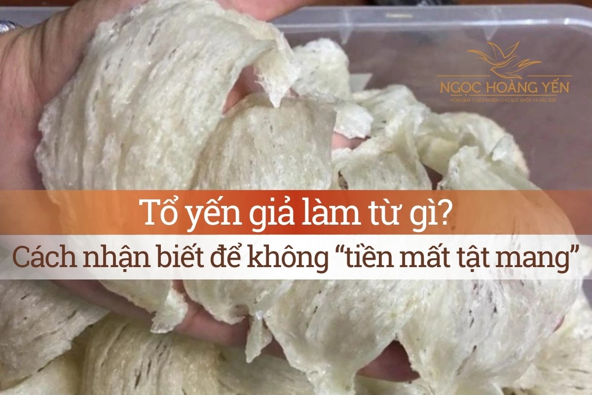 Tổ yến giả làm từ gì? Cách nhận biết để không tiền mất tật mang