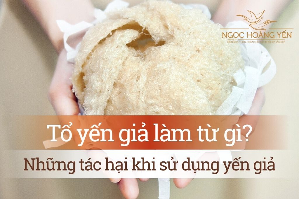 Tổ yến giả làm từ gì? Những tác hại khi sử dụng yến giả