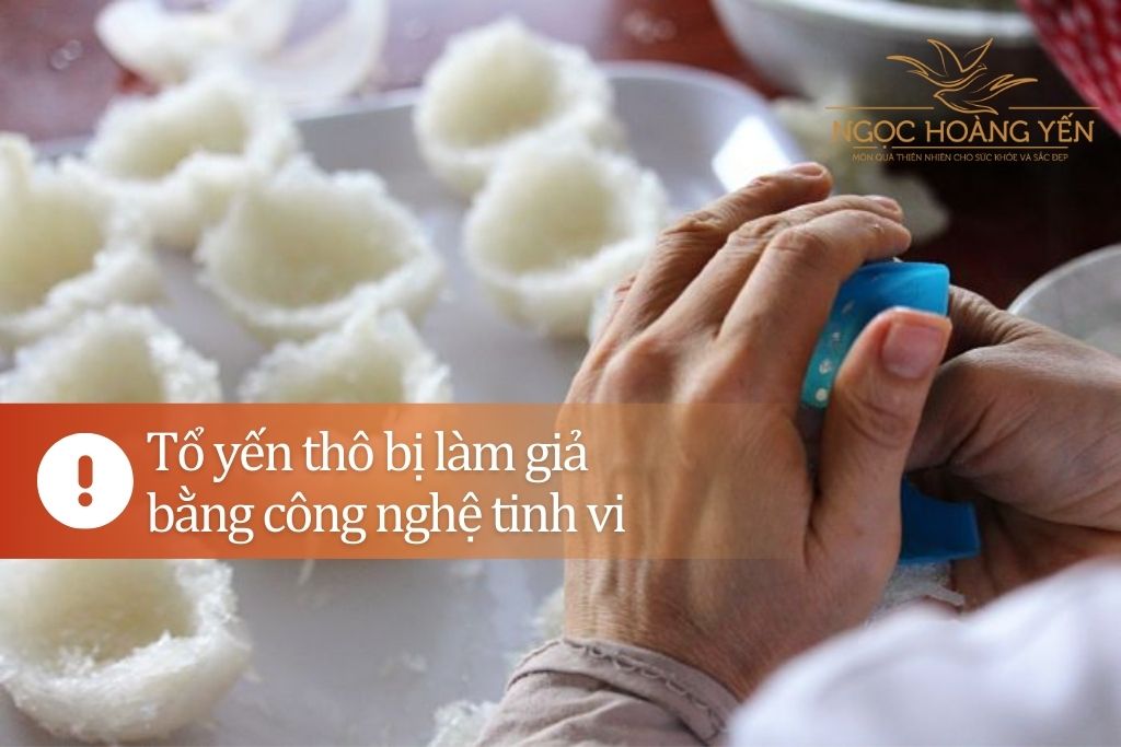 Tổ yến thô bị làm giả bằng công nghệ tinh vi