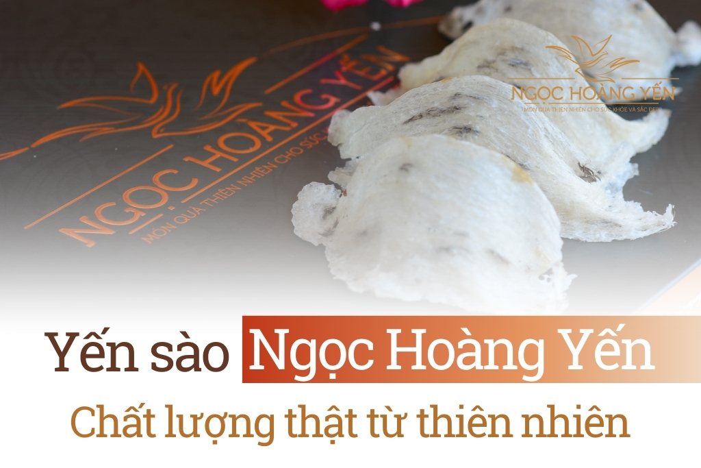 Yến sào Ngọc Hoàng Yến Chất lượng thật từ thiên nhiên