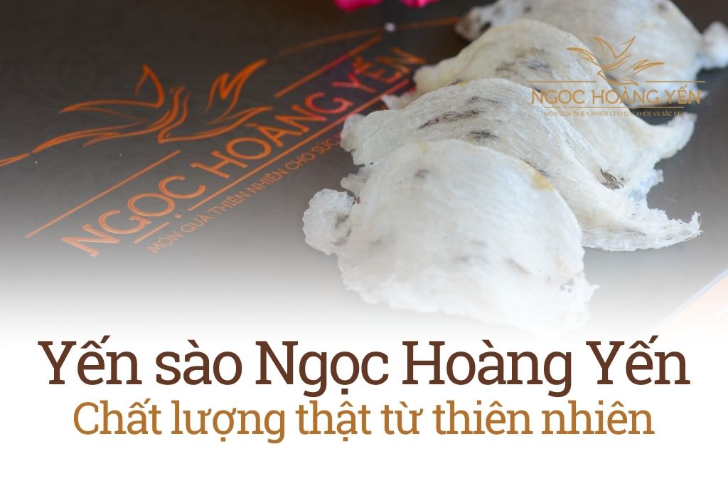 Yến sào Ngọc Hoàng Yến - Chất lượng thật từ thiên nhiên